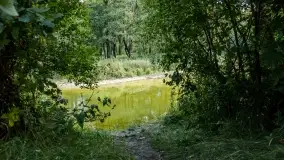 Fotorelacja - Rowerem po zagubionych wioskach Puszczy Piskiej - zdjęcie 4