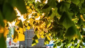 Zachód słońca w porcie AZS Wilkasy - zdjęcie 26