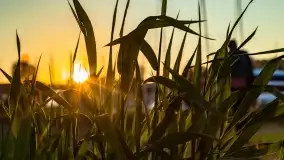 Zachód słońca w porcie AZS Wilkasy - zdjęcie 17