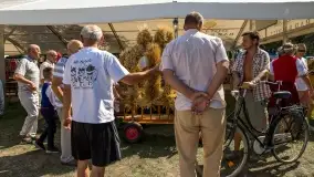 Fotorelacja z dożynek w Nowych Gutach, sierpień 2022 - zdjęcie 15