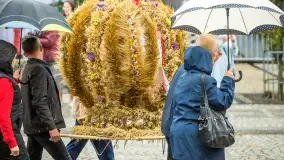 Fotorelacja z dożynek Gminnych w Piszu, Piknik Wołowy - zdjęcie 14