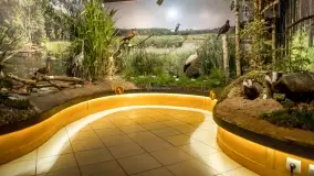 Fotorelacja -  Ogólnopolski Dzień Parków Krajobrazowych w Puszczy Piskiej - zdjęcie 12