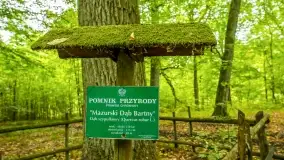 Fotorelacja -  Ogólnopolski Dzień Parków Krajobrazowych w Puszczy Piskiej - zdjęcie 39