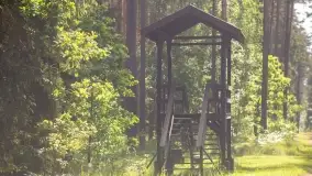 Szczytno i okolice na zdjęciach Marty Sotnik, 2022 - zdjęcie 3