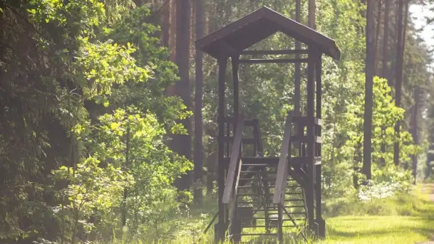 Szczytno i okolice na zdjęciach Marty Sotnik, 2022 - zdjęcie 3