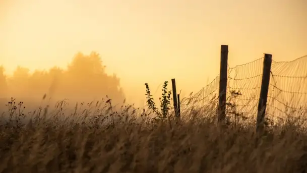 Szczytno i okolice na zdjęciach Marty Sotnik, 2022 - zdjęcie 10