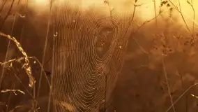 Szczytno i okolice na zdjęciach Marty Sotnik, 2022 - zdjęcie 4