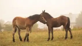 Szczytno i okolice na zdjęciach Marty Sotnik, 2022 - zdjęcie 22