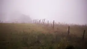 Szczytno i okolice na zdjęciach Marty Sotnik, 2022 - zdjęcie 18