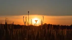 Wiosenny zachód słońca w okolica jeziora Stręgiel - zdjęcie 23