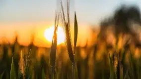 Wiosenny zachód słońca w okolica jeziora Stręgiel - zdjęcie 7