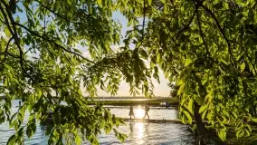 Zachód słońca nad jeziorem Mamry, Cypel Zwierzyniecki Róg - zdjęcie 6