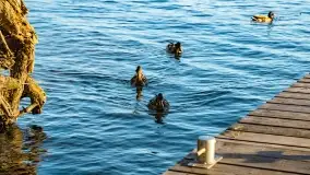 Zachód słońca nad jeziorem Mamry, Cypel Zwierzyniecki Róg - zdjęcie 26