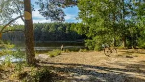 Jezioro Wesołek i puszcza Piska - zdjęcie 43