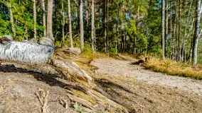 Jezioro Wesołek i puszcza Piska - zdjęcie 30