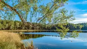 Jezioro Wesołek i puszcza Piska - zdjęcie 14