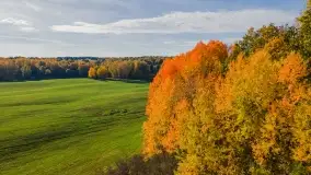 Jesień na mazurskich traktach, polach i łąkach, październik 2022 - zdjęcie 15