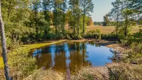 Jesień na mazurskich traktach, polach i łąkach, październik 2022 - zdjęcie 22