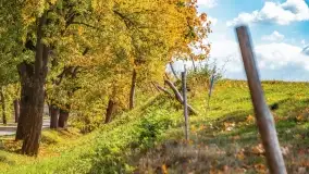 Jesień na mazurskich traktach, polach i łąkach, październik 2022 - zdjęcie 96