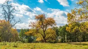 Jesień na mazurskich traktach, polach i łąkach, październik 2022 - zdjęcie 76