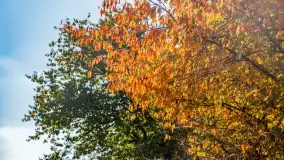 Jesień na mazurskich traktach, polach i łąkach, październik 2022 - zdjęcie 87