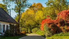 Jesień na mazurskich traktach, polach i łąkach, październik 2022 - zdjęcie 19