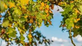 Jesień na mazurskich traktach, polach i łąkach, październik 2022 - zdjęcie 99