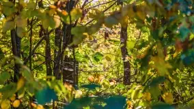 Jesień na mazurskich traktach, polach i łąkach, październik 2022 - zdjęcie 117