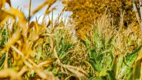 Jesień na mazurskich traktach, polach i łąkach, październik 2022 - zdjęcie 134