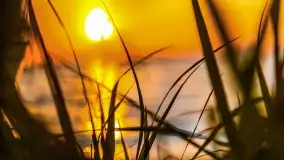 Zachód słońca w Pieczarkach, jezioro Dargin, lipiec 2022 - zdjęcie 31