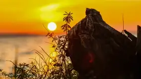 Zachód słońca w Pieczarkach, jezioro Dargin, lipiec 2022 - zdjęcie 29