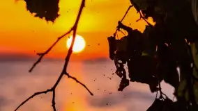 Zachód słońca w Pieczarkach, jezioro Dargin, lipiec 2022 - zdjęcie 26