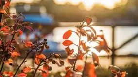 Zachód słońca w Rynie, październik 2022 - zdjęcie 18