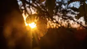 Jesienny zachód słońca nad jeziorem Mój, październik 2022 - zdjęcie 14