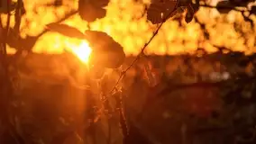 Jesienny zachód słońca nad jeziorem Mój, październik 2022 - zdjęcie 6