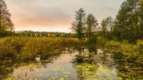 Fotograficzne podsumowanie jesieni na Mazurach 2022 - zdjęcie 70