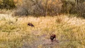 Fotograficzne podsumowanie jesieni na Mazurach 2022 - zdjęcie 36