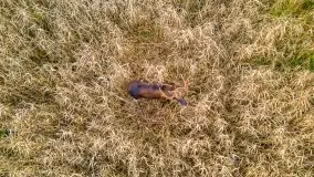 Fotograficzne podsumowanie jesieni na Mazurach 2022 - zdjęcie 45