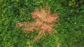 Fotograficzne podsumowanie jesieni na Mazurach 2022 - zdjęcie 79