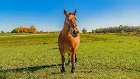 Fotograficzne podsumowanie jesieni na Mazurach 2022 - zdjęcie 63