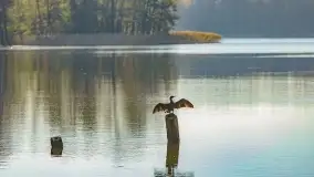 Fotograficzne podsumowanie jesieni na Mazurach 2022 - zdjęcie 12