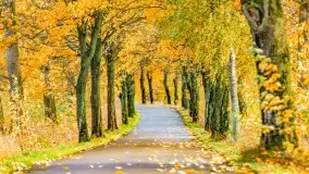 Fotograficzne podsumowanie jesieni na Mazurach 2022 - zdjęcie 49