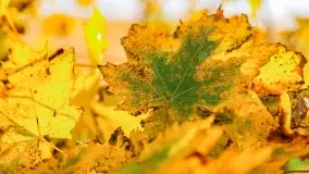 Fotograficzne podsumowanie jesieni na Mazurach 2022 - zdjęcie 138