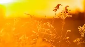 Fotograficzne podsumowanie jesieni na Mazurach 2022 - zdjęcie 58