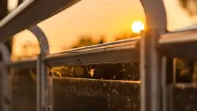 Mazurskie, przypadkowe obrazki z lata 2022 - zdjęcie 17