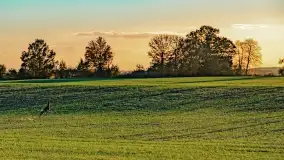 Zachód słońca w Maciejkach, niedaleko Mazur - zdjęcie 4
