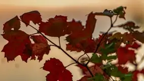 Zachód słońca nad jeziorem Dargin, wrzesień 2022 - zdjęcie 10