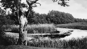 Cień historii - rzeka Krutynia i okolice na przedwojennych zdjęciach - zdjęcie 3