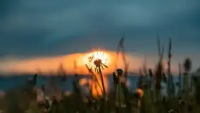 Pochmurny zachód słońca w Pierkunowie nad Kisajnem - zdjęcie 6