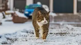 Pierwszy śnieg już za nami... Bocianie Gniazdo w Rynie - zdjęcie 10